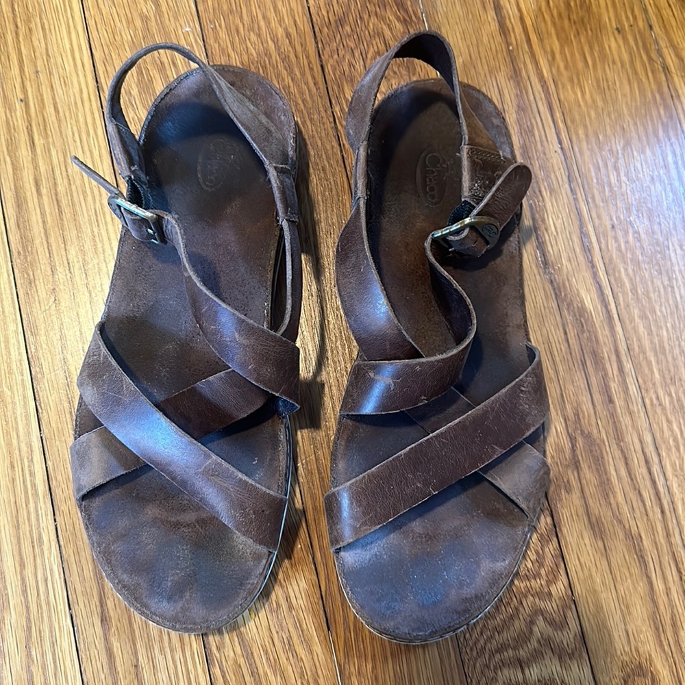 Chaco Wayfarer Otter Brown